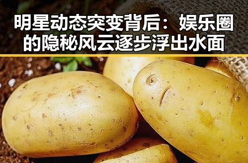 明星动态突变背后：娱乐圈的隐秘风云逐步浮出水面